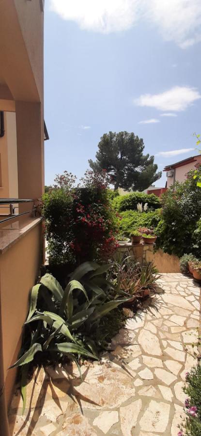 Apartments Casa Karmen *